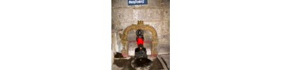 234. திருப்புறவார் பனங்காட்டூர்
